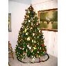 Eglee y Rodolfo Rodriguez's Christmas tree from Caracas, Venezuela