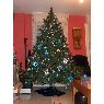 Weihnachtsbaum von Lorenzo Abad (Donostia, Euskadi, Espa�a)