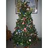 Sandra Yanet Arango's Christmas tree from Antioquia, Colombia
