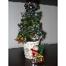 Vero Baz Romero's Christmas tree from Barcelona, Espa�a