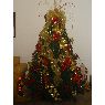 Sapin de No�l de Rosa Meneses (Neuquen, Argentina)