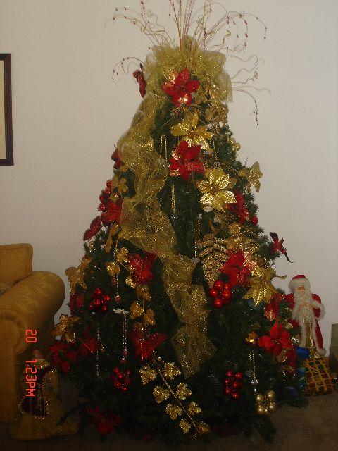 Rosa Meneses (Neuquen, Argentina)