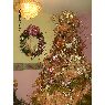 Sapin de No�l de Maricela Jaimes (San Cristobal, Venezuela)