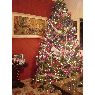 Sapin de No�l de Familia M�ndez Urp�n (Caracas, Venezuela)