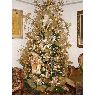 Maria Julieta de Baptista's Christmas tree from San Cristobal, Venezuela