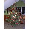 Residencia Universitaria Santo Tom�s's Christmas tree from La Laguna, Tenerife, Espa�a