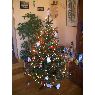 Araceli's Christmas tree from Madrid, Espa�a