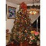 Weihnachtsbaum von Vilma de Villacorta (San salvador, El Salvador, C.A)