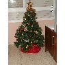Miriam's Christmas tree from Arad, Israel