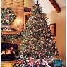 Sapin de No�l de Maria (Argentina)