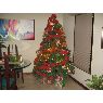 Weihnachtsbaum von Gaby Pires (Arauer,Venezuela)