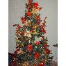 Sapin de No�l de Sabrina Lagos Guerrero (San Crist�bal - Edo. T�chira, Venezuela)