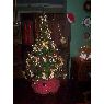 PATRICIA VALDIVIA  V�LEZ DE CONSTANT's Christmas tree from LIMA, PER�.