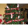 Lucrecia Paiz's Christmas tree from Guatemala