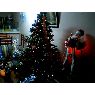 Gina Lisette Ortiz Pastrana's Christmas tree from Tesalia-Huila, Colombia
