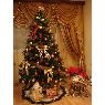 Sapin de No�l de Syuzi (Hayastan, Armenia)