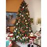 Weihnachtsbaum von Oscar Gonz�lez (Cucuta, Santander, Colombia)