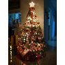 Weihnachtsbaum von Marcos Fernando Chan Le�n (Herrera, Panam�)